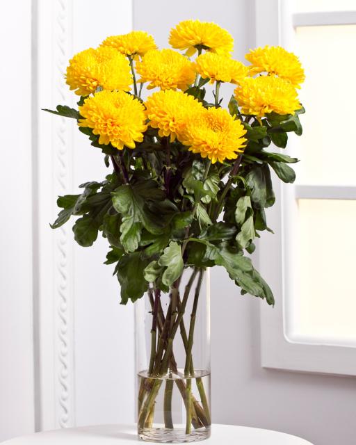 Chrysanthemums | Cut flowers | Interflora Ukraine. Flower Delivery